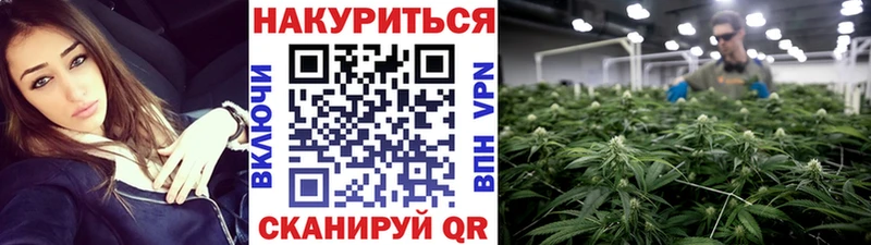 Канабис конопля Краснозаводск