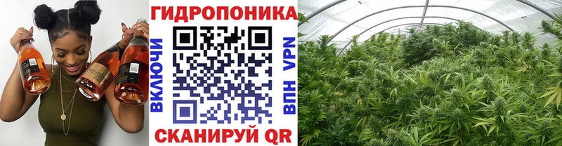 Конопля семена Краснозаводск
